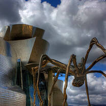 Study with API in Bilbao