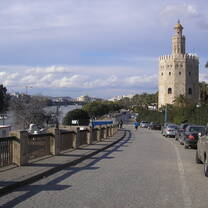 Study abroad in Seville with API
