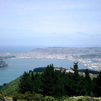 Dunedin, Otago, New Zealand