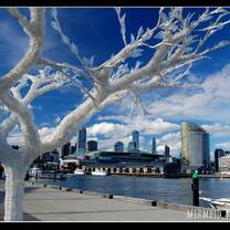 Study Abroad in Australia with CCSA as your guide!