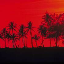 API students will enjoy beautiful Costa Rican sunsets