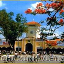 Study Abroad in Vietnam with CSA