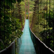 Get Paid to Teach in Costa Rica with a TEFL Certification