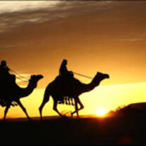 Get Paid to Teach English in Saudi Arabia with a TEFL Certification