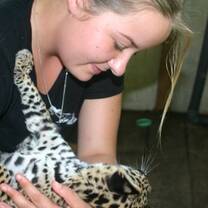 Wildlife Conservation in Peru with Projects Abroad