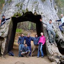 Voluteer Abroad in the USA 1 - 4 weeks