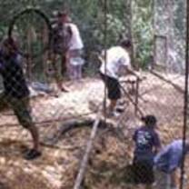 Wildlife volunteering in Thailand