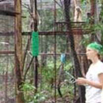 Volunteers exploring Thailand