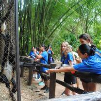 Students feeding monkeys at zoo in Mexico