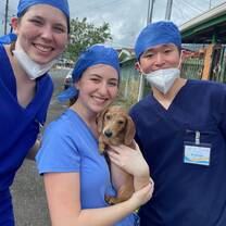 veterinary volunteers