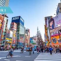 Busy Tokyo street view.