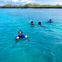 Snorkeling in The Galápagos Islands