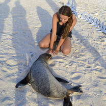 Student poses with sea lion in the Galapagos