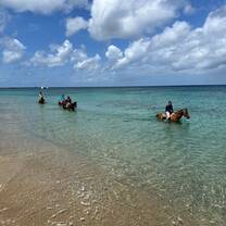 Students horseback riding on the beach in Nevis