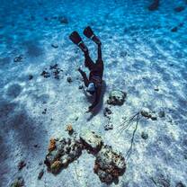 A diver or snorkeler swims close to the seafloor, pointing toward a small patch of coral on the sandy ground in clear blue water.