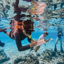 Three snorkelers float just below the water’s surface, writing on waterproof data sheets while observing coral and marine life on the seafloor in clear blue water.