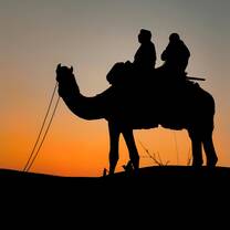 Enjoy a camel safari at sunset and spend a magical night under the stars in comfortable desert tents.
