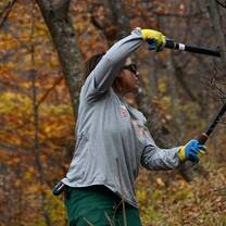 Trail maintenance: Lopping in action