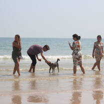 Thai Camp Beach
