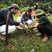 3 people planting seedlings together
