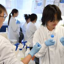 Students in lab
