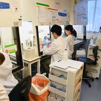 Students in lab