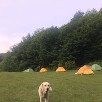 Campsite