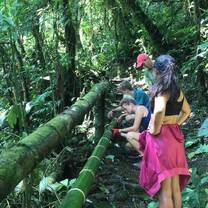 Volunteers carrying out conservation work in a national park in Costa Rica