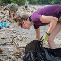 Volunteers collecting waste during a beach clean-up in Costa Rica