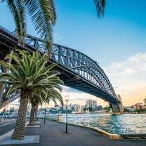Bridge in Sydney with palm tree