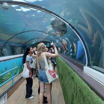 Students visiting aquarium in Sydney
