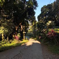 view of the local scenery