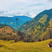 Valley of Cocora (palm trees)