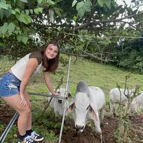 Costa Rican Summer