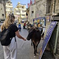 Road Trip in India