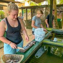 Turtle conservation Sri lanka