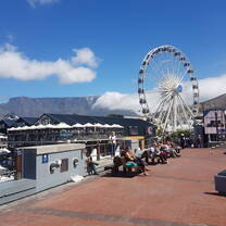 Volunteer in South Africa