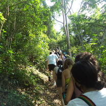 Forest in Rio Muchacho