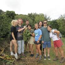 Found falled plantains while on a hike!