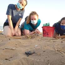 First morning survey in the hatching season 
