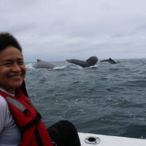 Humpback whales
