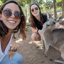 Meeting the wallabies