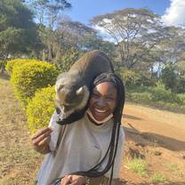 monkeys in a public park 