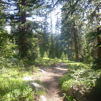 The view of the trail during our 1 week trek