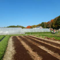 awesome day volunteering @ a local farm and learning about food insecurity