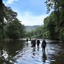 Jungle trek expedition leader training 