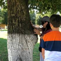 to explore the tree (bark)