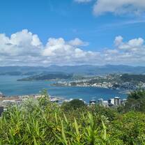 View over Wellington