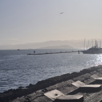The morning walk to my workplace 