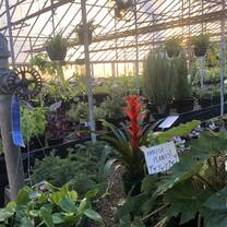 The Thoreau College greenhouse